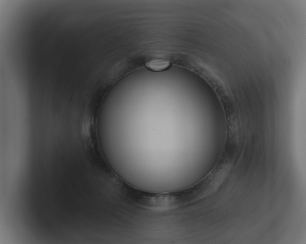 X0000102790225200808251035