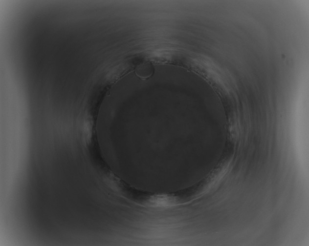 X0000102790231200808251035