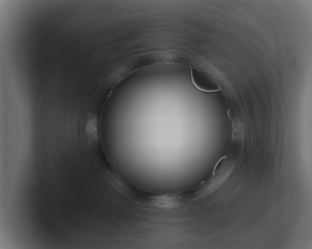 X0000102790238200808251035