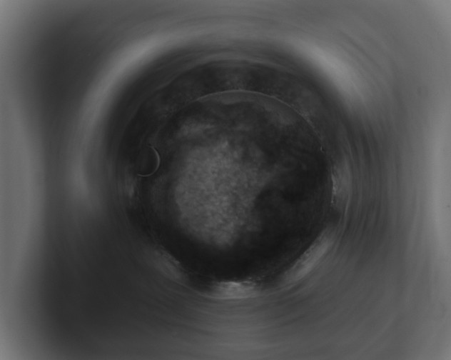 X0000102790239200808251035