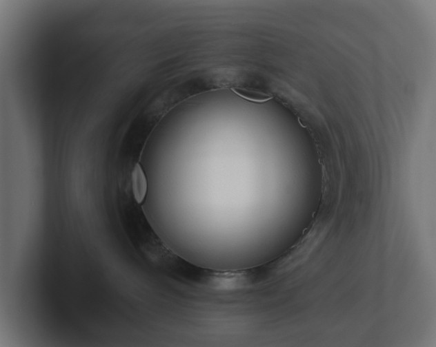 X0000102790240200808251035