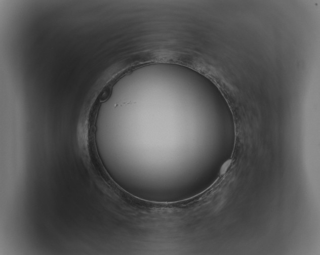 X0000102790242200808251034