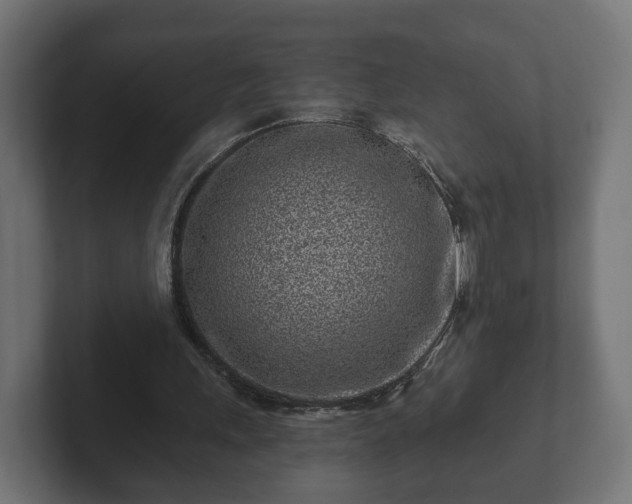 X0000102790243200808251034