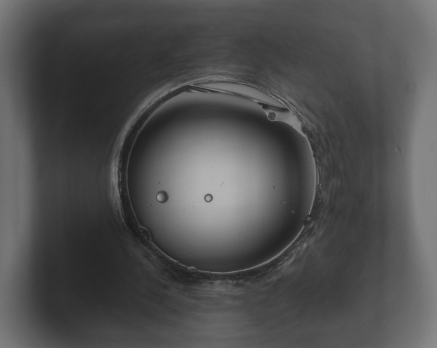 X0000102790244200808251034