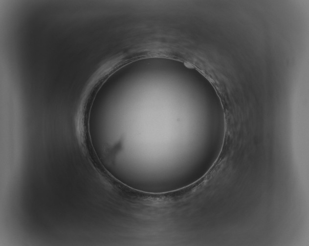 X0000102790245200808251034