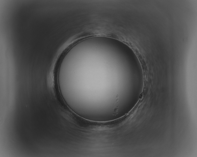 X0000102790246200808251034