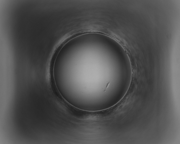 X0000102790248200808251034