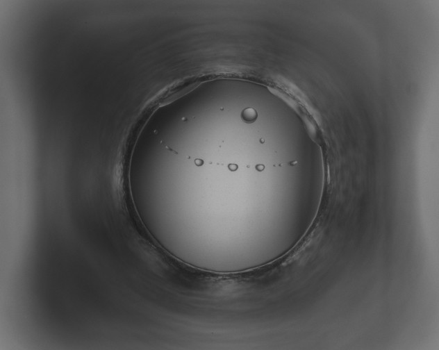 X0000102790249200808251034