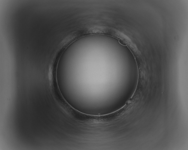 X0000102790250200808251034