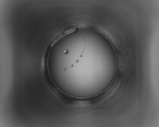 X0000102790251200808251034