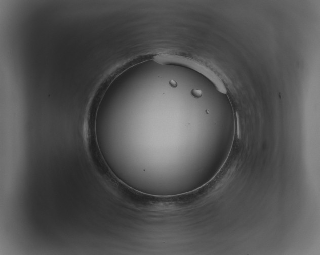 X0000102790252200808251034