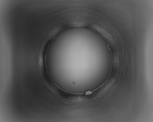 X0000102790254200808251034