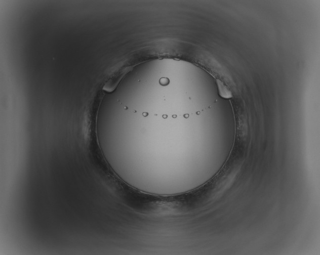 X0000102790255200808251034