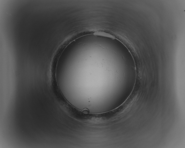 X0000102790256200808251034