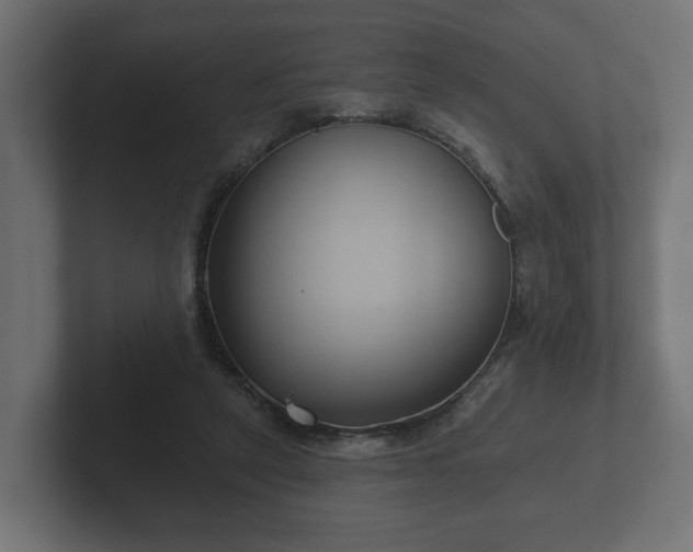 X0000102790257200808251034