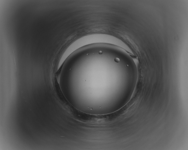 X0000102790260200808251034