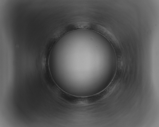 X0000102790263200808251034