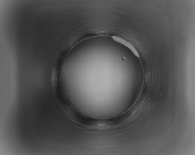 X0000102790264200808251034