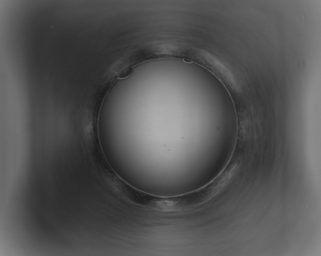 X0000102790265200808251034