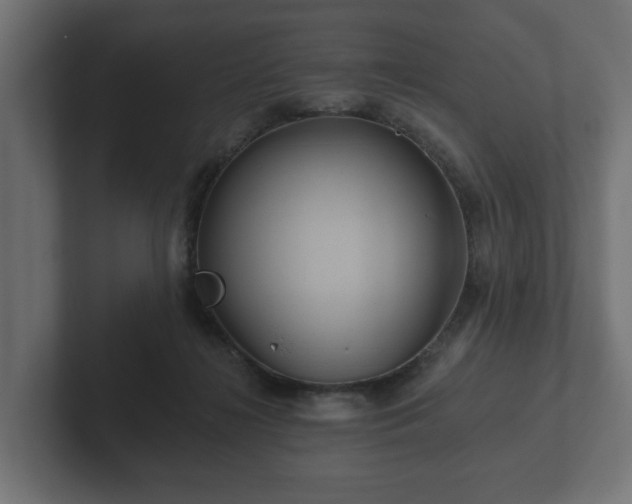 X0000102790268200808251034