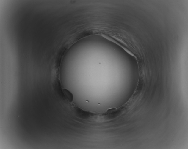 X0000102790276200808251035