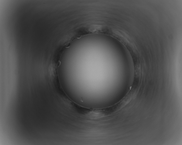 X0000102790280200808251035