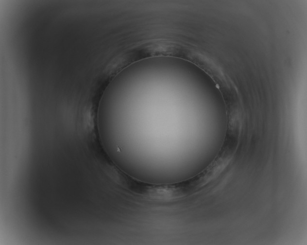 X0000102790282200808251035