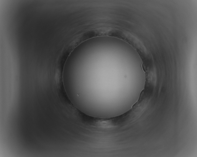 X0000102790283200808251035