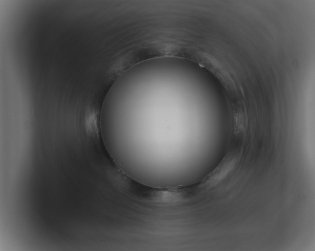 X0000102790286200808251035