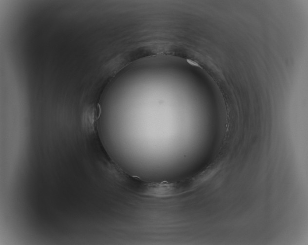 X0000102790288200808251035