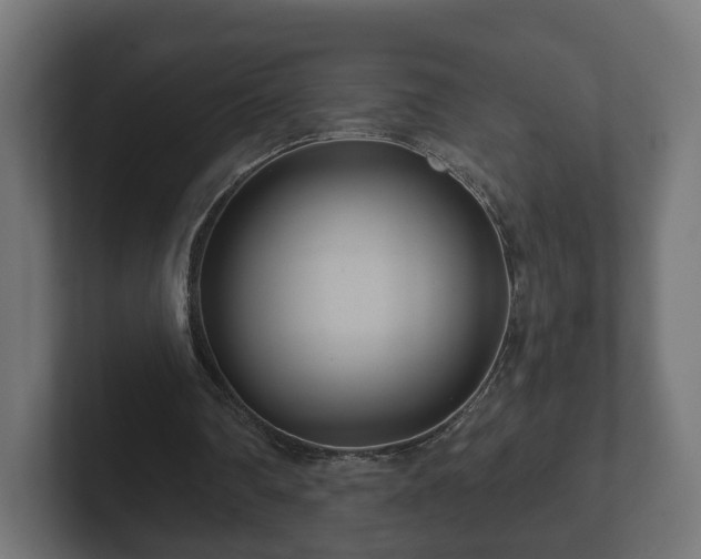 X0000102790290200808251034