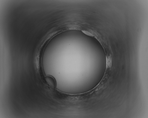 X0000102790291200808251034