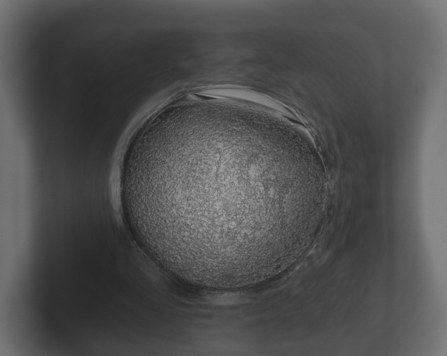 X0000102790293200808251034