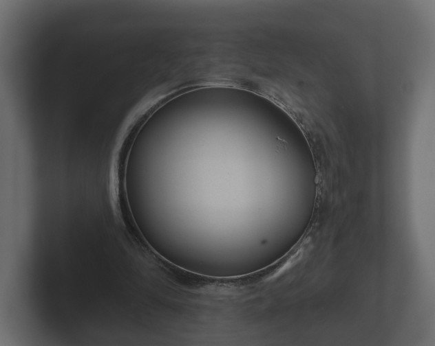 X0000102790294200808251034