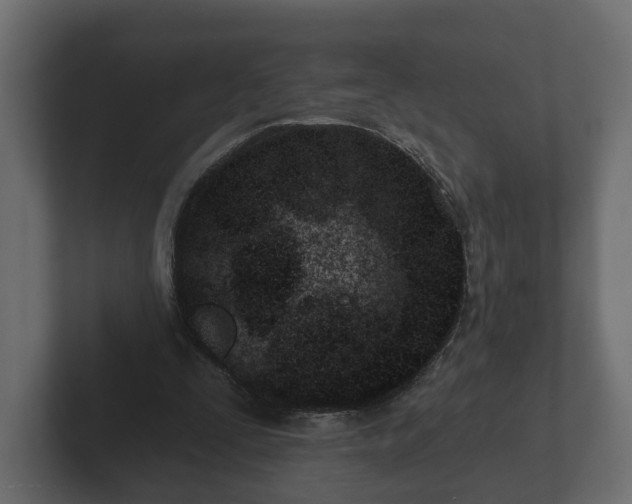 X0000102790295200808251034