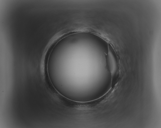 X0000102790296200808251034