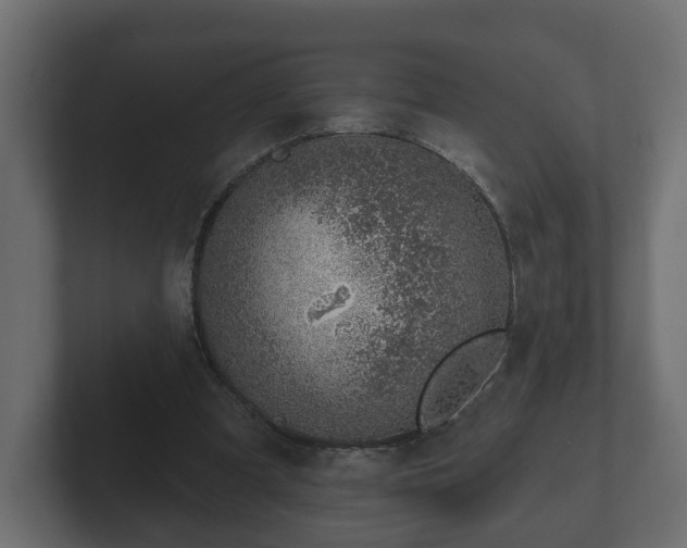 X0000102790297200808251034