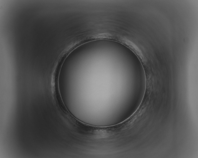 X0000102790298200808251034