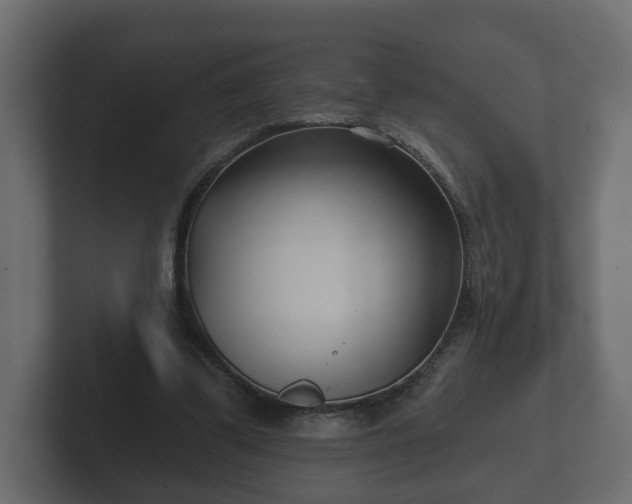 X0000102790299200808251034