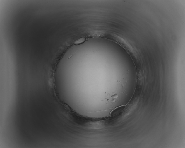 X0000102790307200808251034