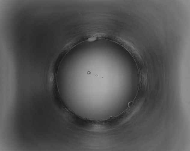 X0000102790308200808251034