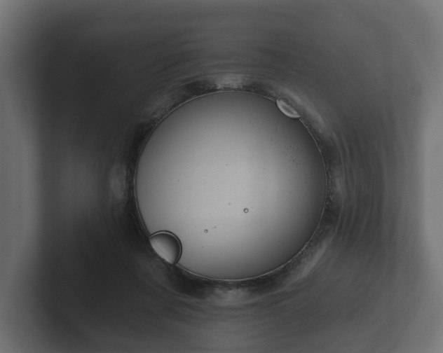 X0000102790311200808251034