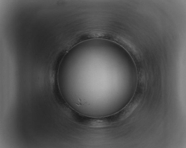 X0000102790315200808251034