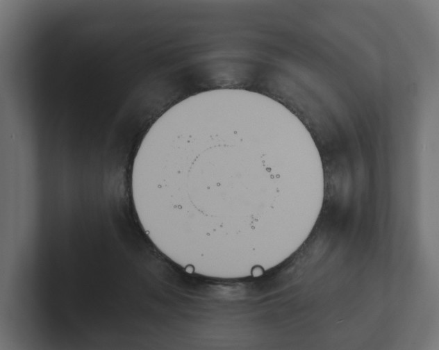 X0000102790317200808251034