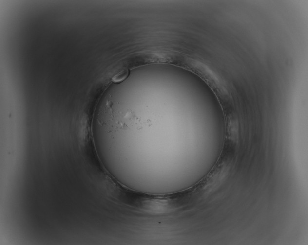 X0000102790318200808251034