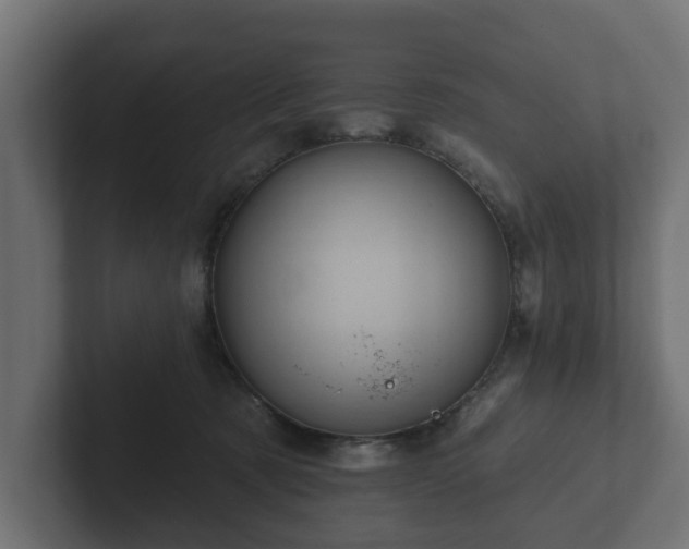 X0000102790321200808251034