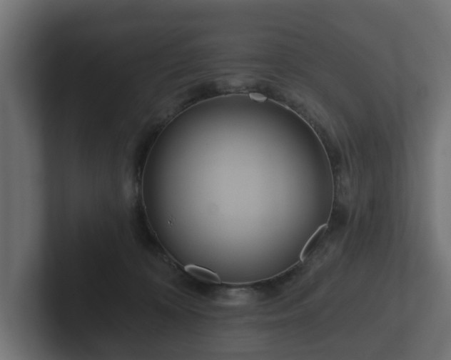 X0000102790324200808251034