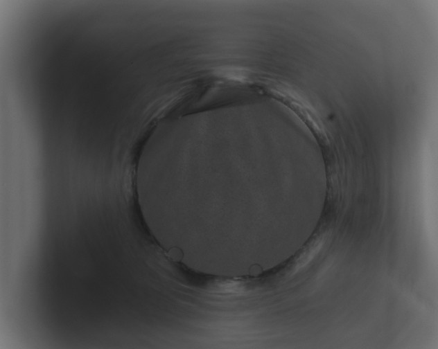 X0000102790325200808251034