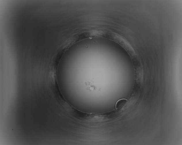 X0000102790329200808251034