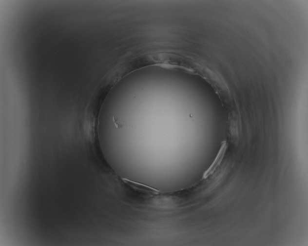 X0000102790332200808251034